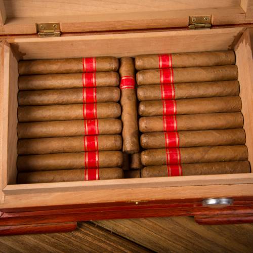 Cigar 